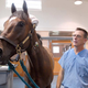 Illustration for article titled One Year Since We Lost The Horse That Cured Cancer